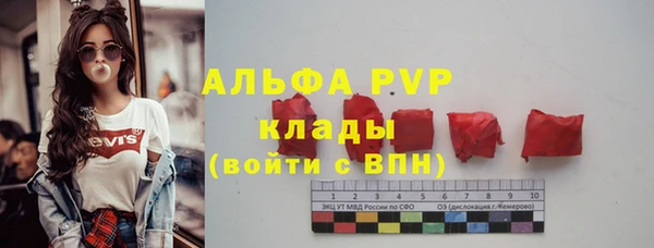 spice Богородск