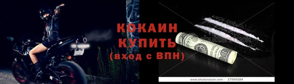 spice Богородск