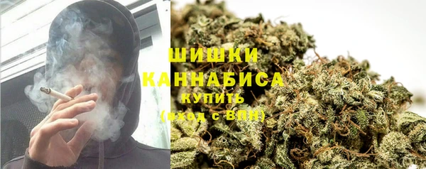 spice Богородск