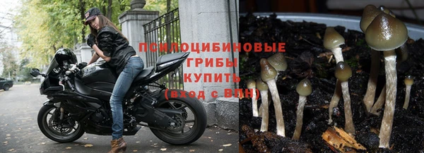 гидропоника Богданович