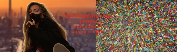 гидропоника Богданович